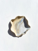 OYSTER bowl SAND