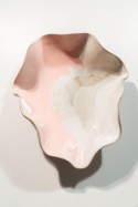 OYSTER PINK WAVE. GIGANT