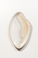 PATERA WAVE SAND. średnia