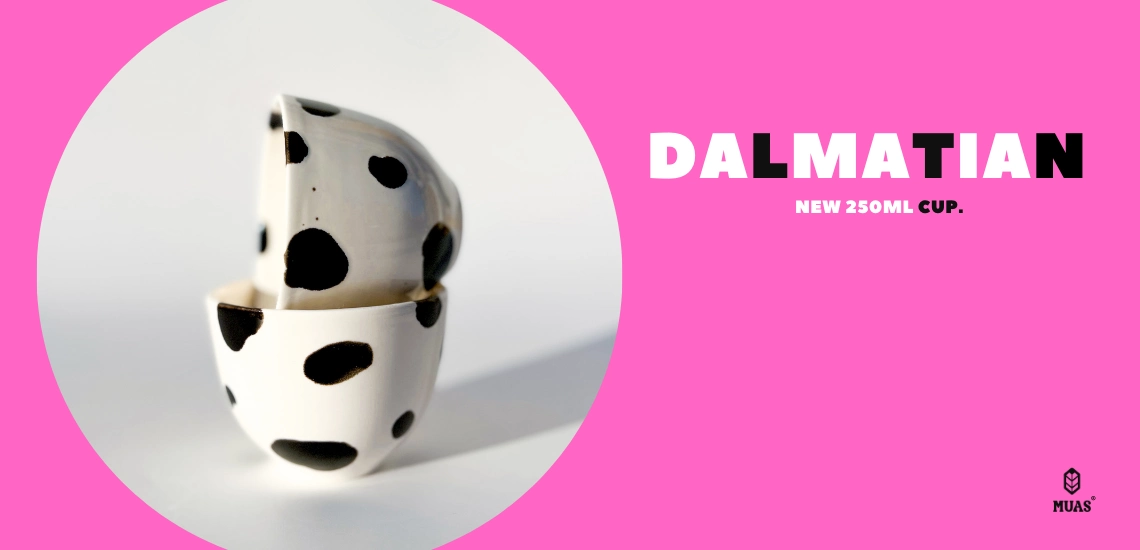 dalmatian